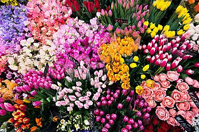 Take Two希望《GTA》能像007电影一样长久